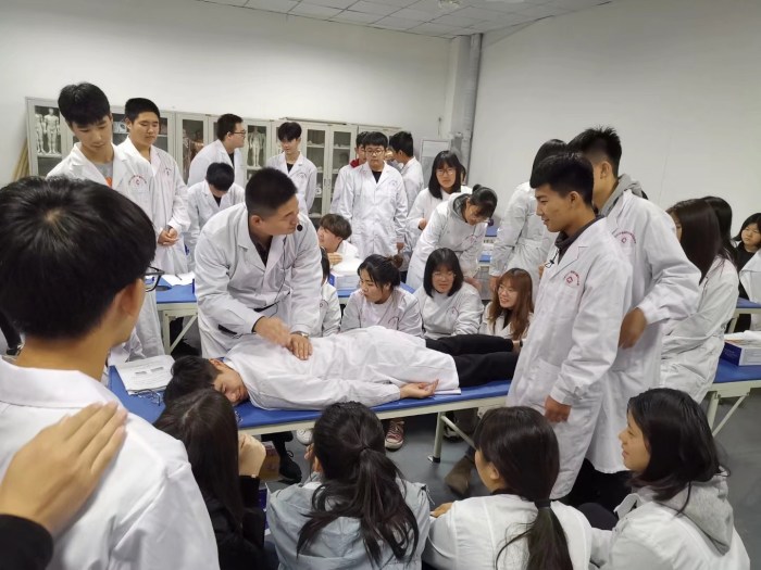 石家庄冀联医学中等专业学校中医康复技术实训课