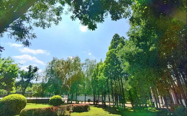 石家庄理工职业学院校园角落