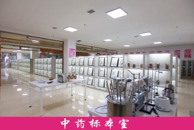 石家庄天使护士学校中药标本室