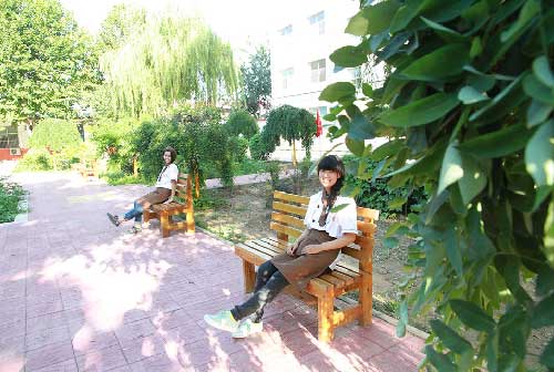 石家庄新东方烹饪学校花园一角