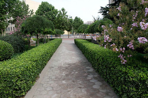 河北经济管理学校幽静的小路