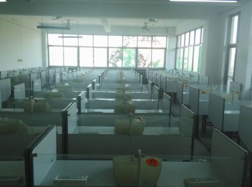 学前教育音乐室