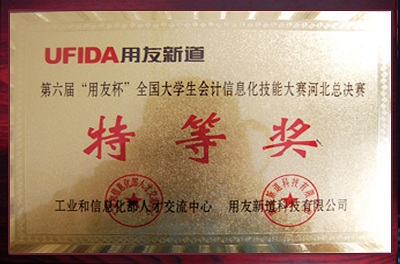 会计信息大赛特等奖