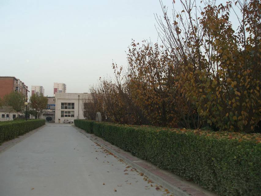 秋日下的河北省信息工程学校