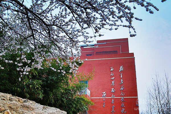 保定市第四职业中学学校景色