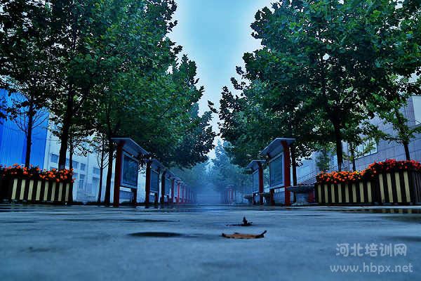 雨后的保定市第四职业中学