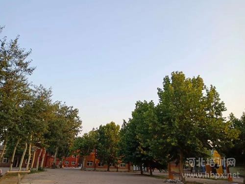 石家庄世海传媒学校一角