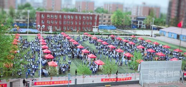 石家庄法商中专学校校园招聘会现场