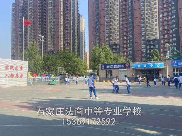 石家庄法商学校夏日美景