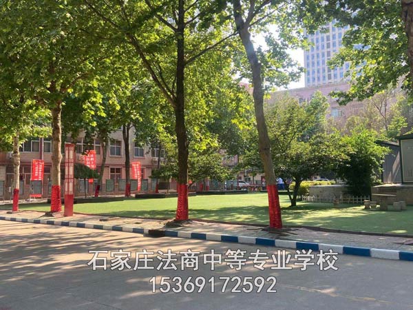 法商学校葱葱郁郁的树木