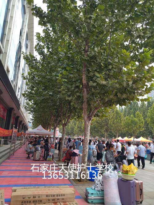 石家庄天使护士学校2021年秋季护理专业开学报到啦