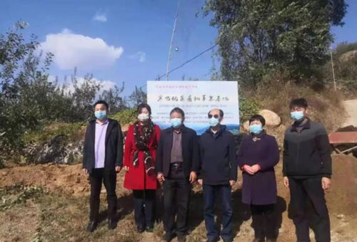 石家庄天使护士学校感受助力脱贫成果