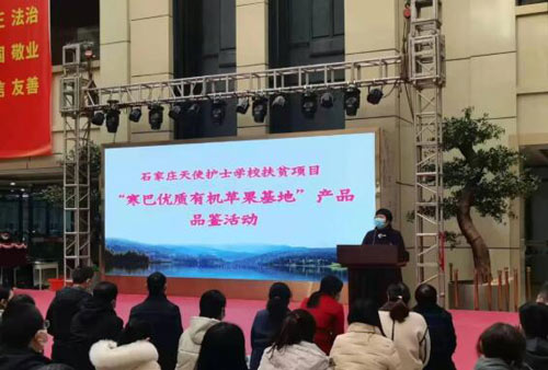 石家庄天使护士学校感受助力脱贫成果,寒巴苹果真甜