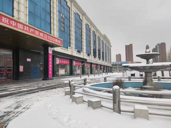 石家庄天使护士学校雪景