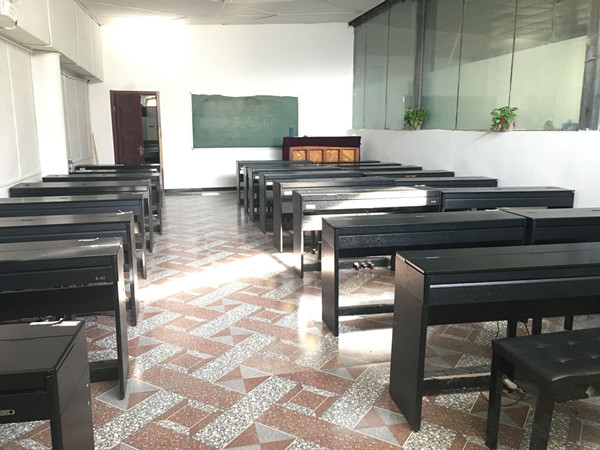 石家庄花都学校学前教育钢琴教室