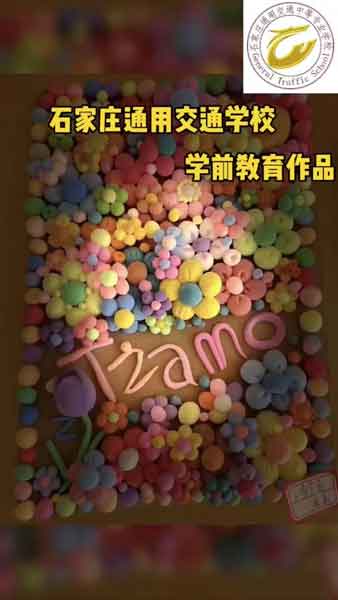 石家庄通用交通学校学生作品