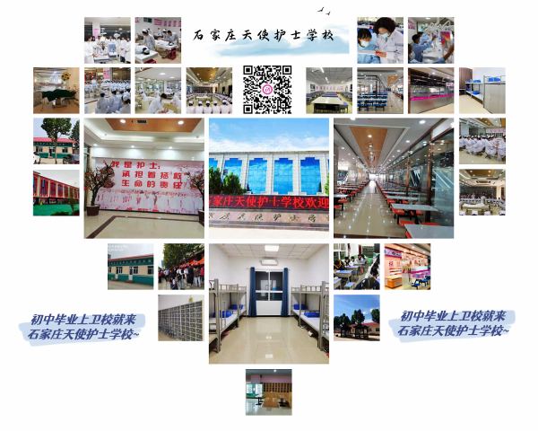 石家庄天使护士学校校园环境图