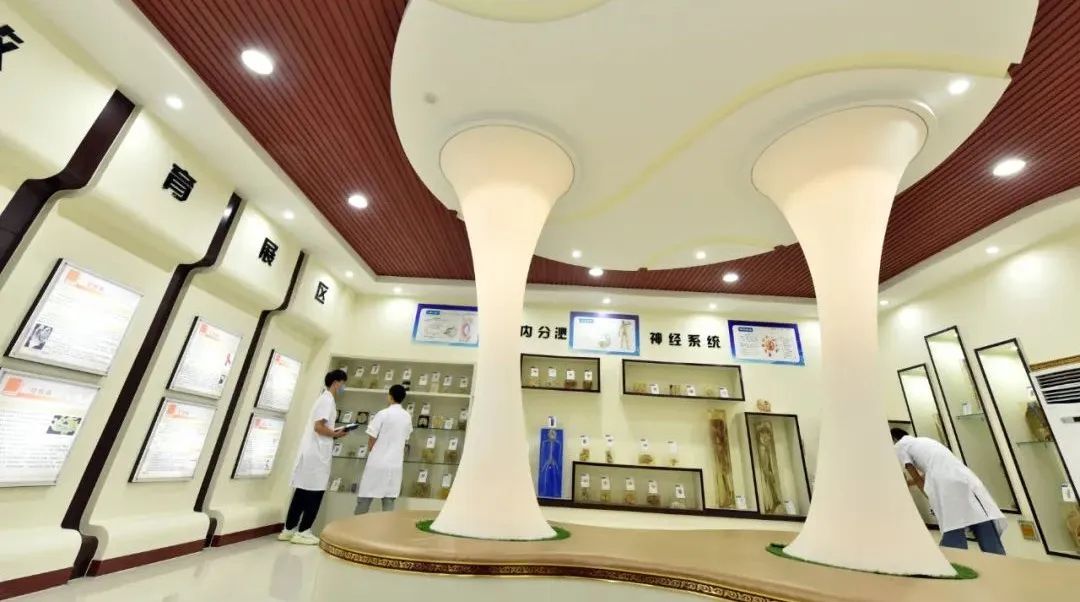 石家庄医学高等专科学校中专部环境