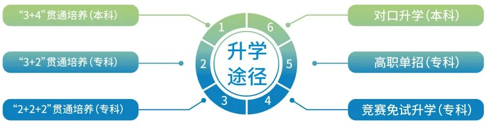 邢台技师学院升学途径