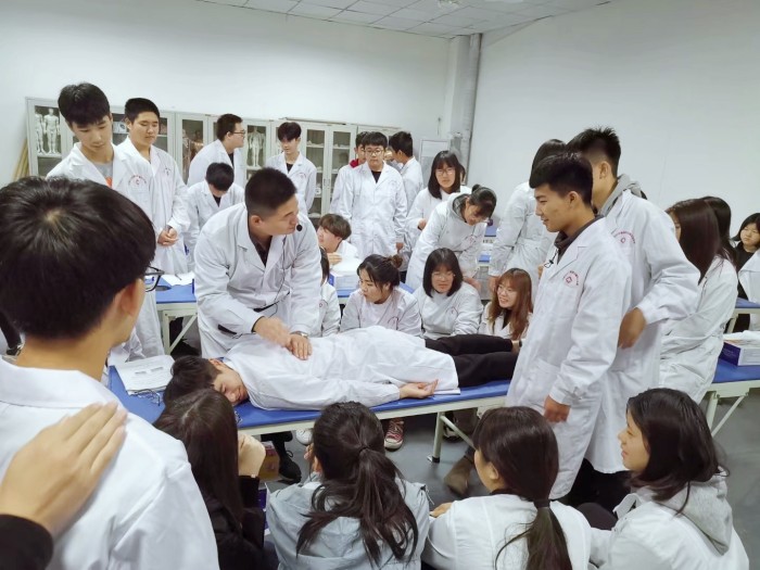 石家庄冀联康复技术专业实操课老师讲解中