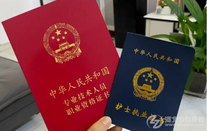 护理职业证书样本