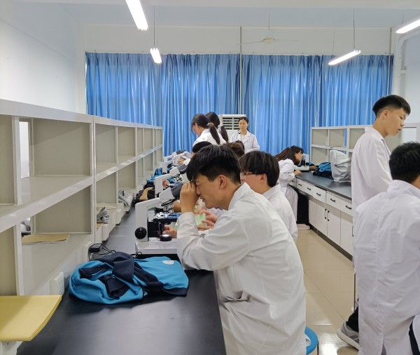 石家庄冀联医学中等专业学校学生实训课