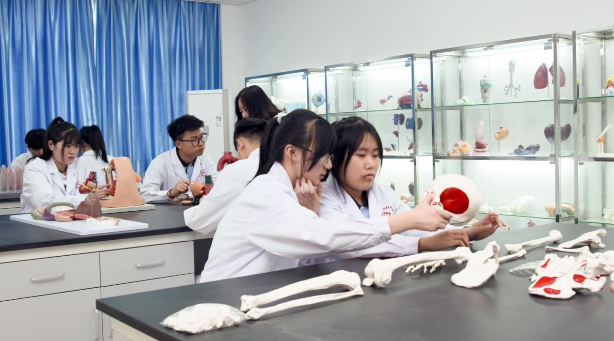 在石家庄冀联学护理专业的女生