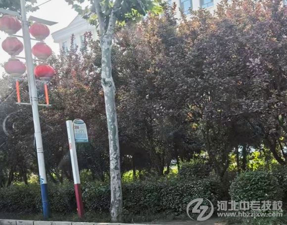 石家庄东华铁路学校校门口356路公交站牌
